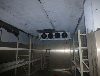 蛇口海鮮低溫庫