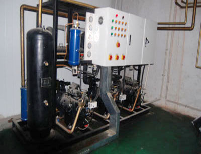 食品廠并聯機組