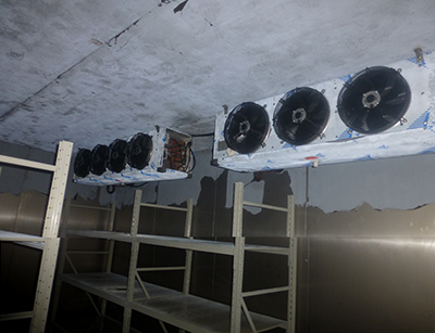 高端低溫海鮮庫