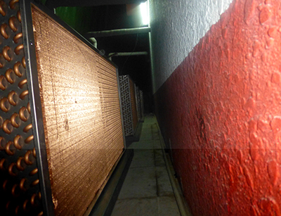 定做耐腐蝕冷凝器